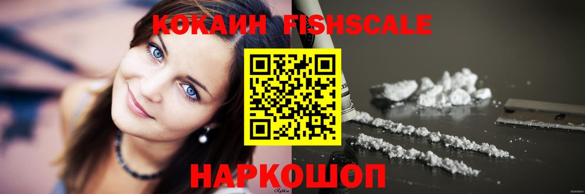 Кудымкар  COCAIN  Вход с VPN  Cocaine Fish Scale 