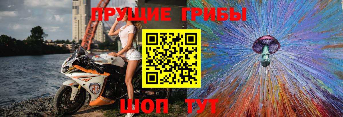 Галлюциногенные грибы Кудымкар