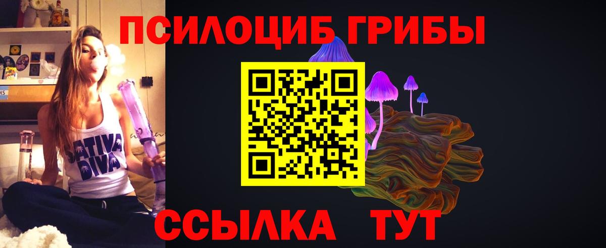 Галлюциногенные грибы прущие грибы Кудымкар
