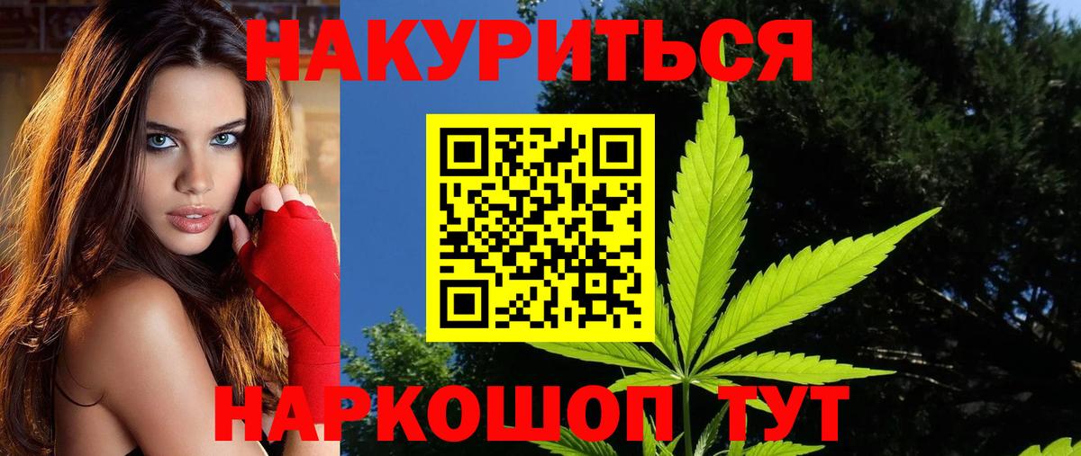 Конопля сатива Кудымкар